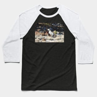 Wild horses, wildlife, nature, gifts Baseball T-Shirt